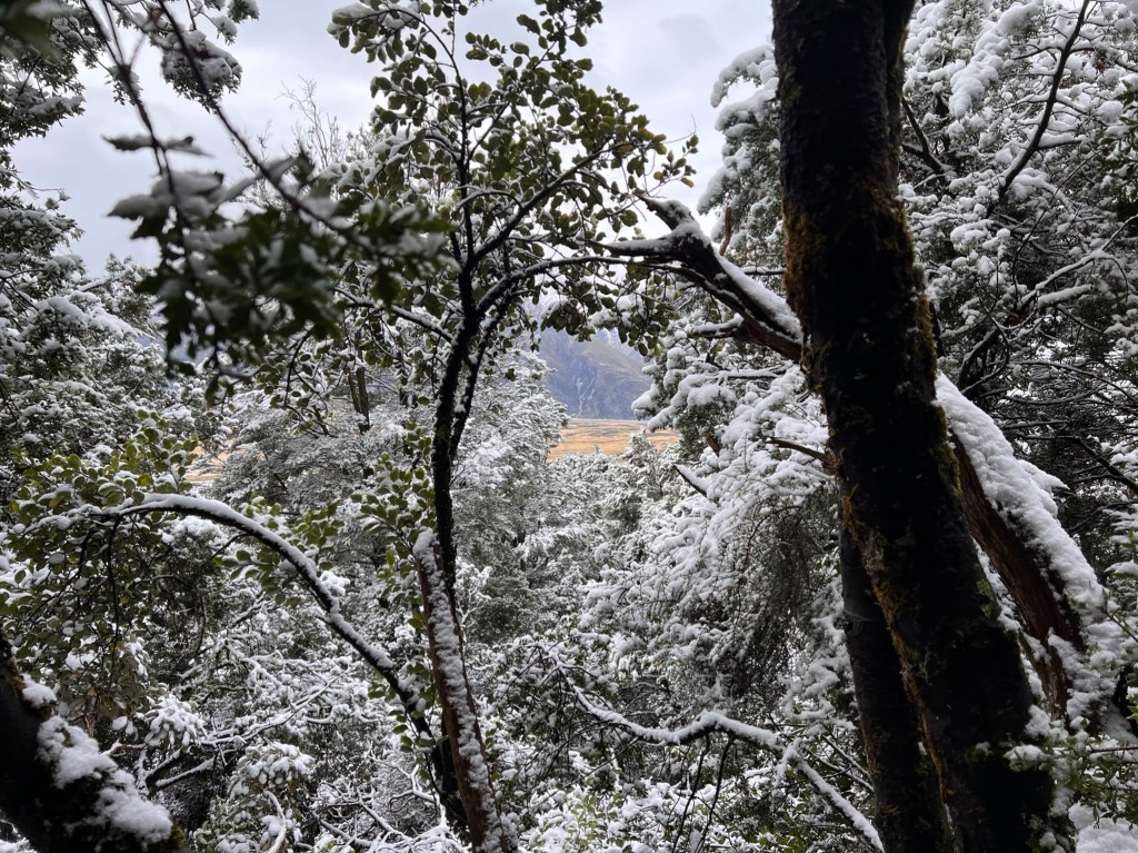 Nine images of fun with Kerryn, Frank, Dan and Rob, in the snow.
